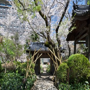 Japanese Garden