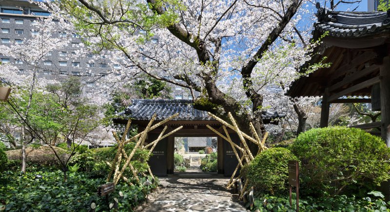 Japanese Garden