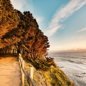 Walking Path
