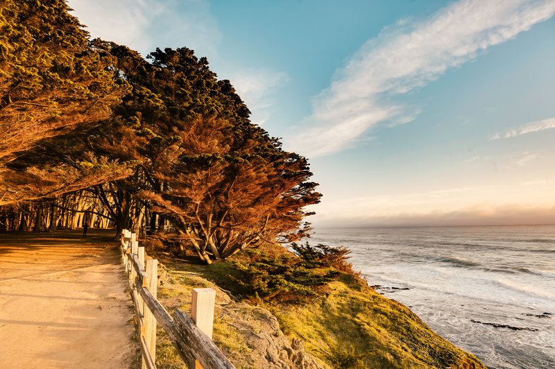 Walking Path