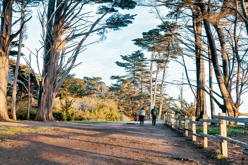Walking Path