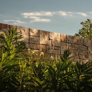 Wall
