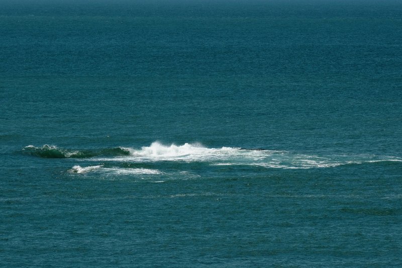 Ocean