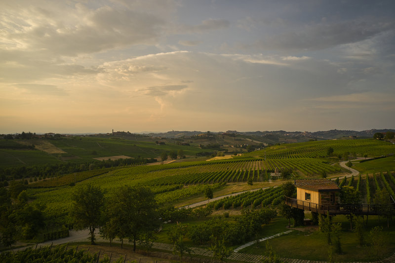 Suspended House In The Vineyards - View
