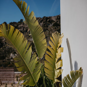 Cedar Forest Suite | Private Pool | Naxos Town View