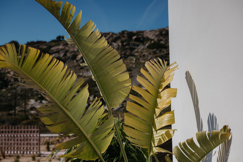 Cedar Forest Suite | Private Pool | Naxos Town View
