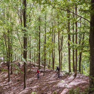 Cycling Activity