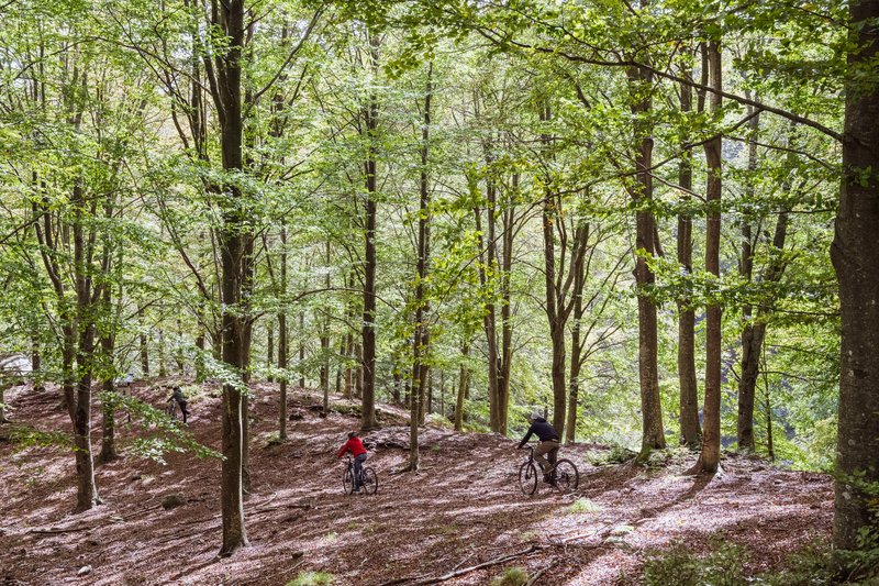 Cycling Activity