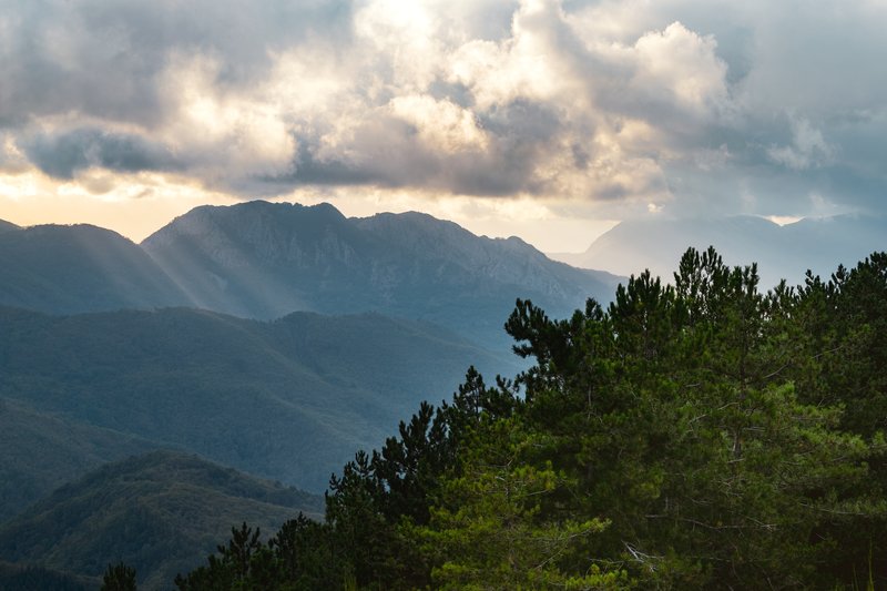 Surrounding Nature
