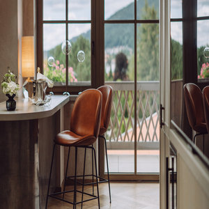 Lake View Suite - Bar