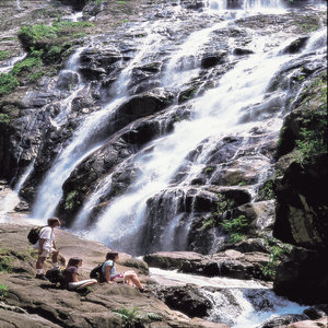Jungle Trekking To Chemerung Waterfall