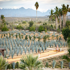 Bocce Court