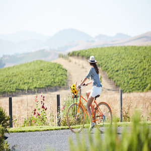 Carneros Resort and Spa - Local Cycling