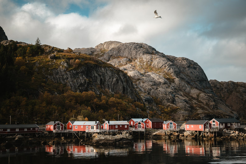 Shorefront Cabins