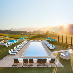 Hilltop Adult Pool with Vineyard Views