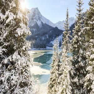 Arosa Landscape