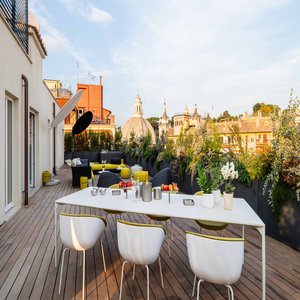 Penthouse - Roof Garden