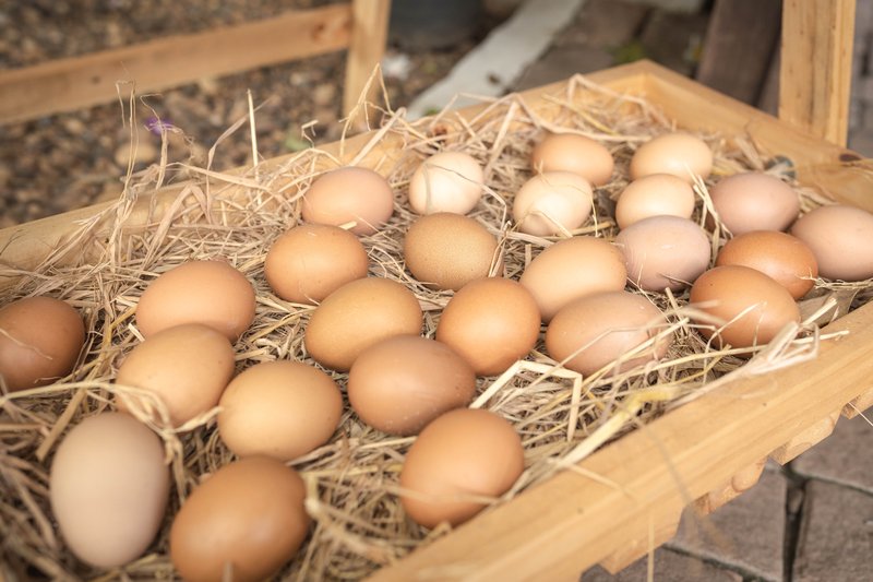 Aleentas Living Farmers Market