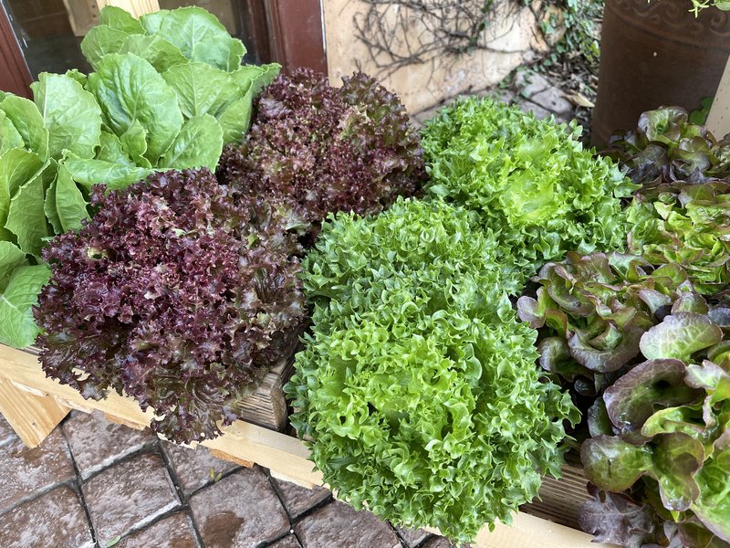 Aleentas Living Farmers Market