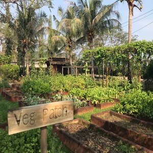 Aleenta Organic farm