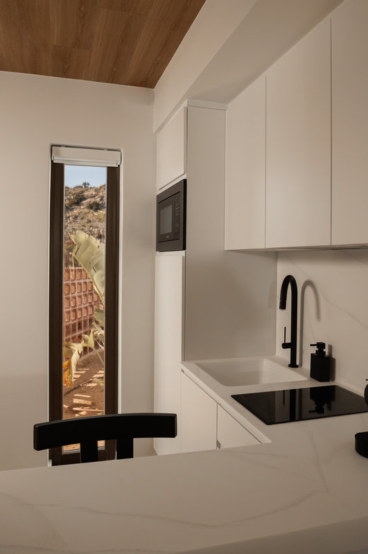 Flamingo Valley Suite - Kitchen Details