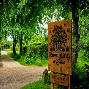 Nature Trail