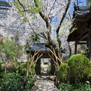 Japanese Garden