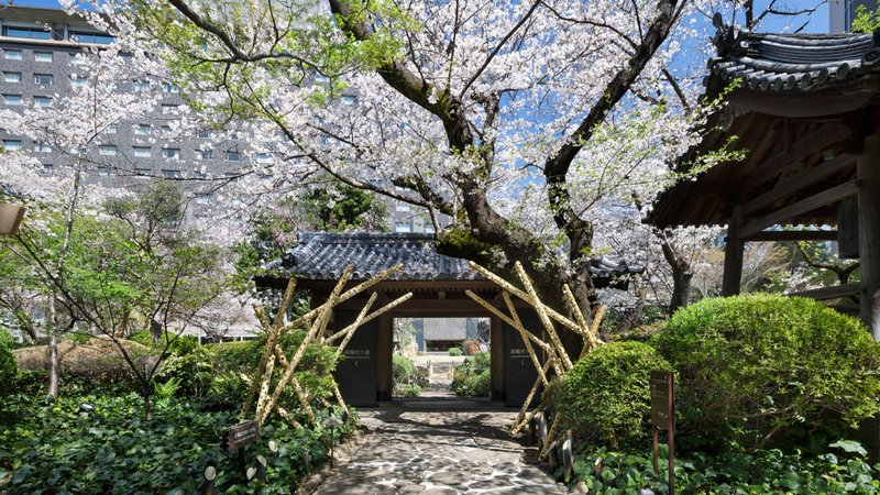 Japanese Garden