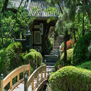 Japanese Garden