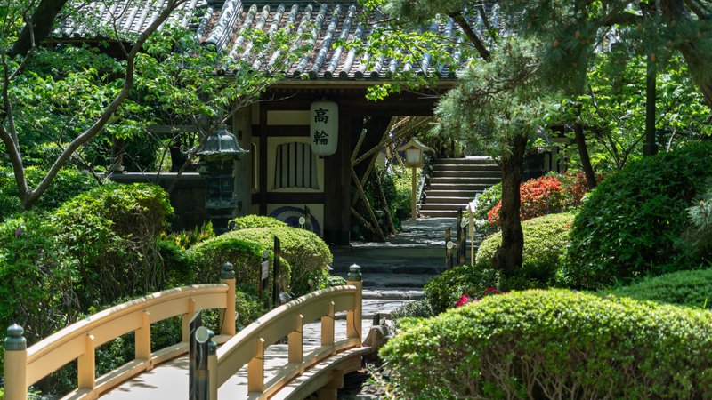 Japanese Garden