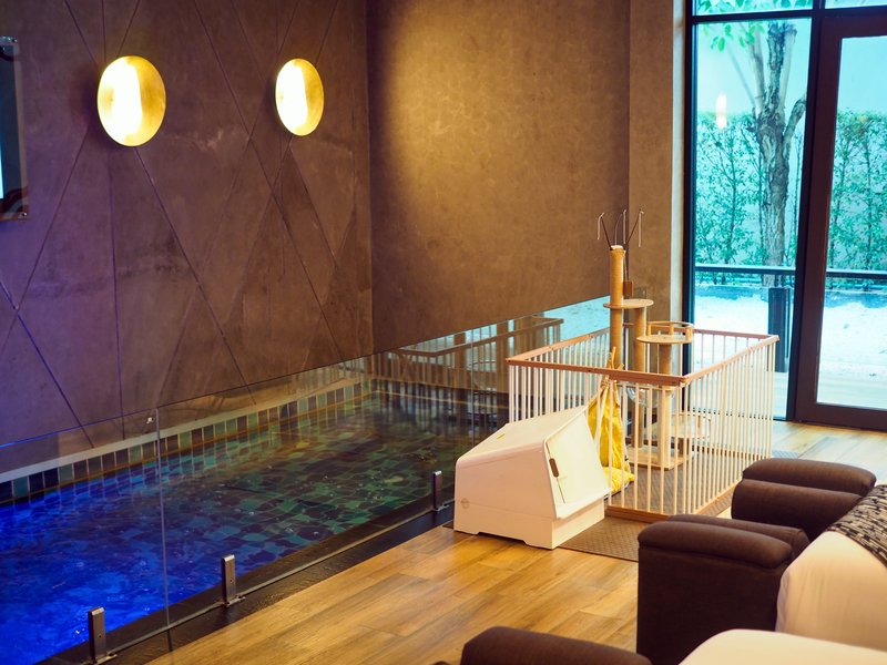 Luxury Pool Villa in Pattaya with Pet-Friendly Amenities –