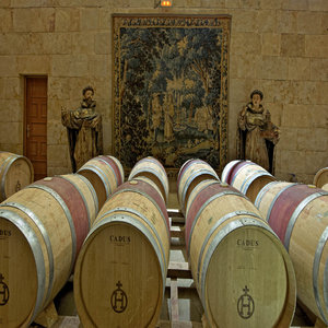 Magister wine barrels