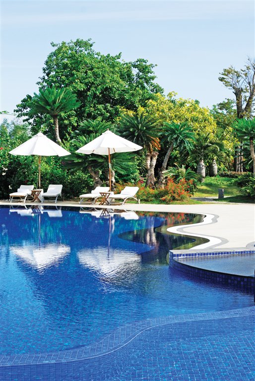 Ginger Garden Pool