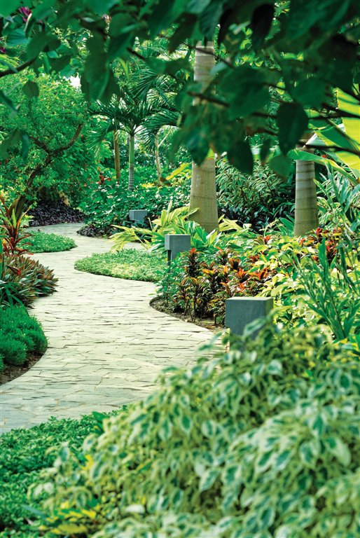 Ginger Garden
