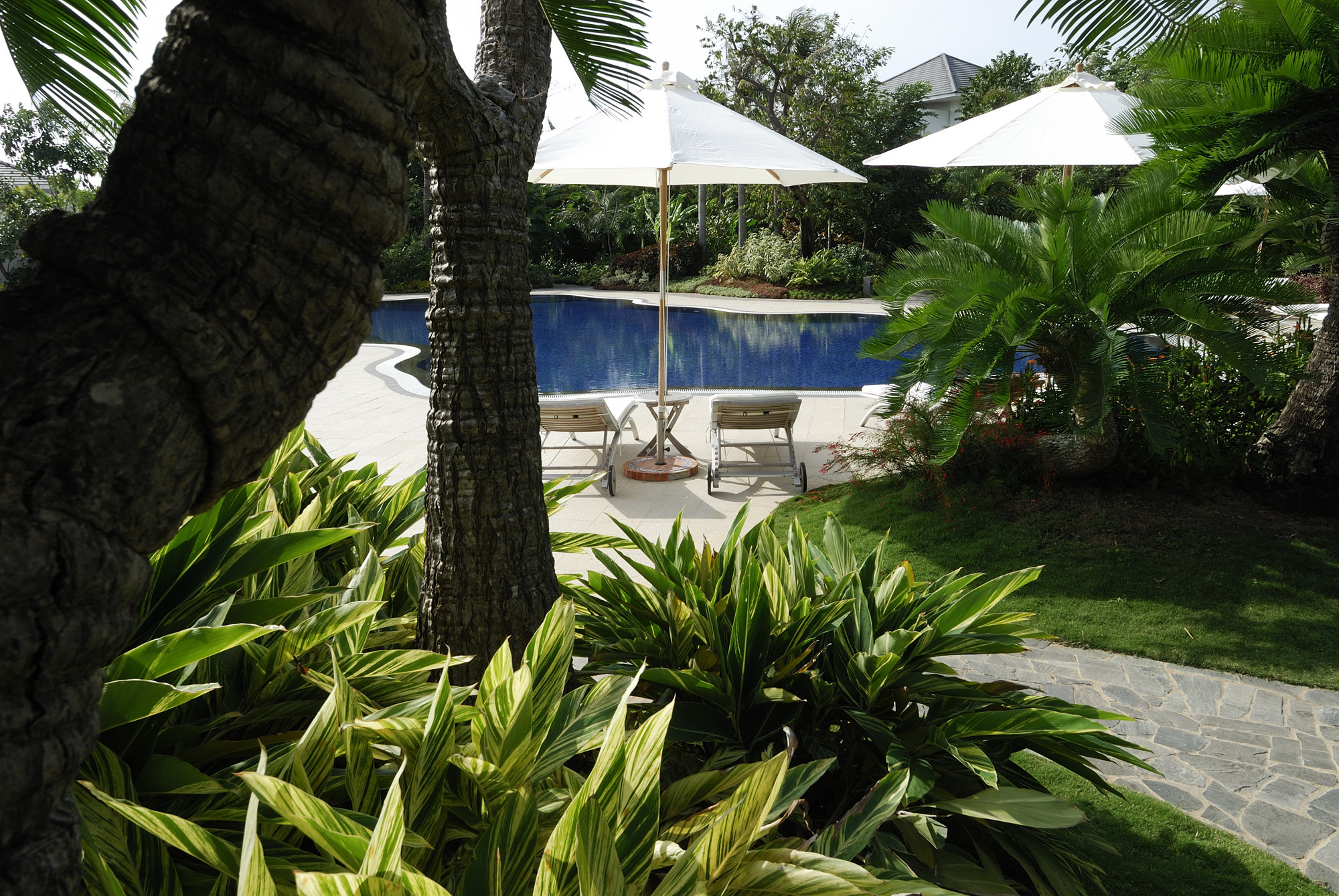 Ginger Garden Pool
