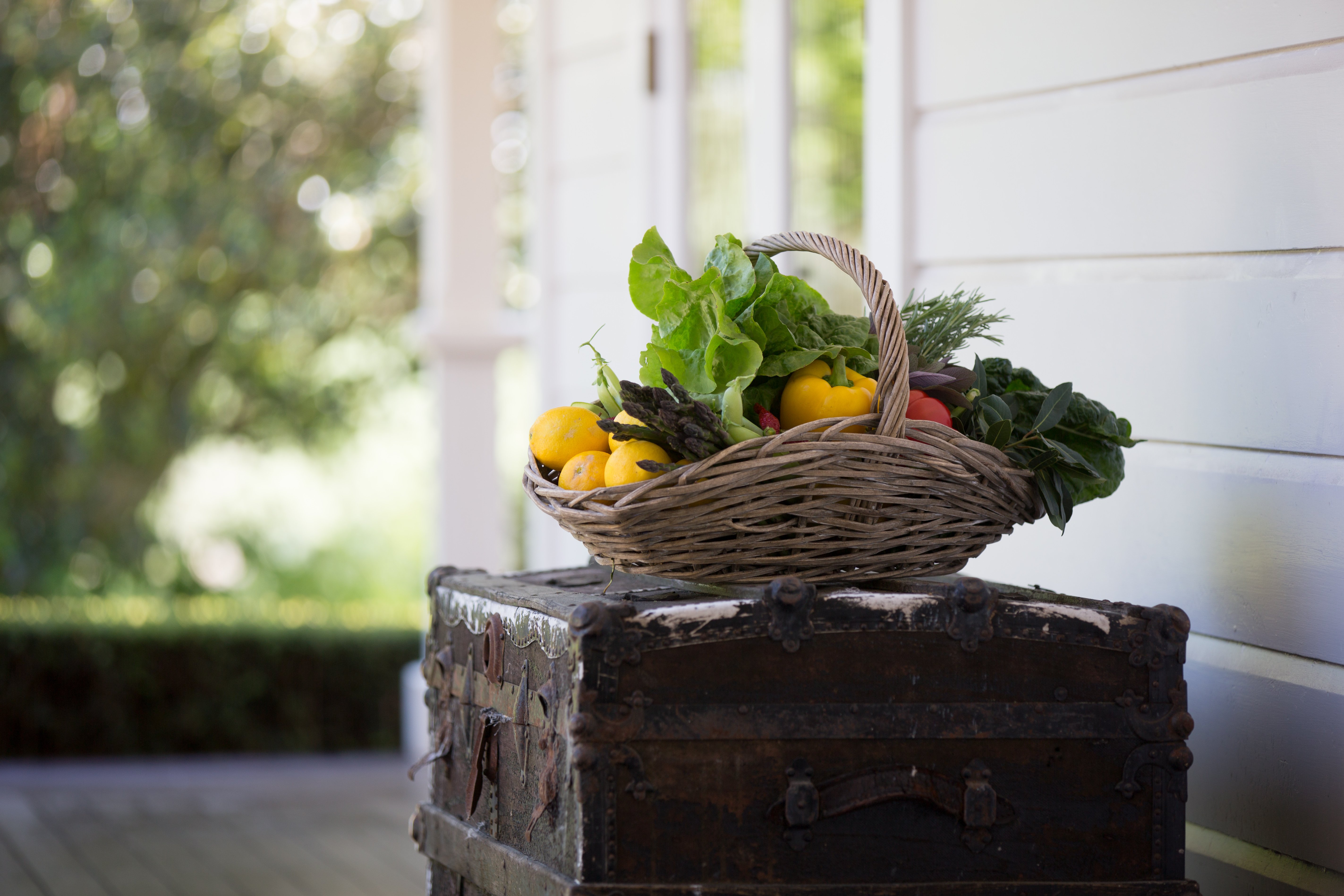 Home grow vegetables