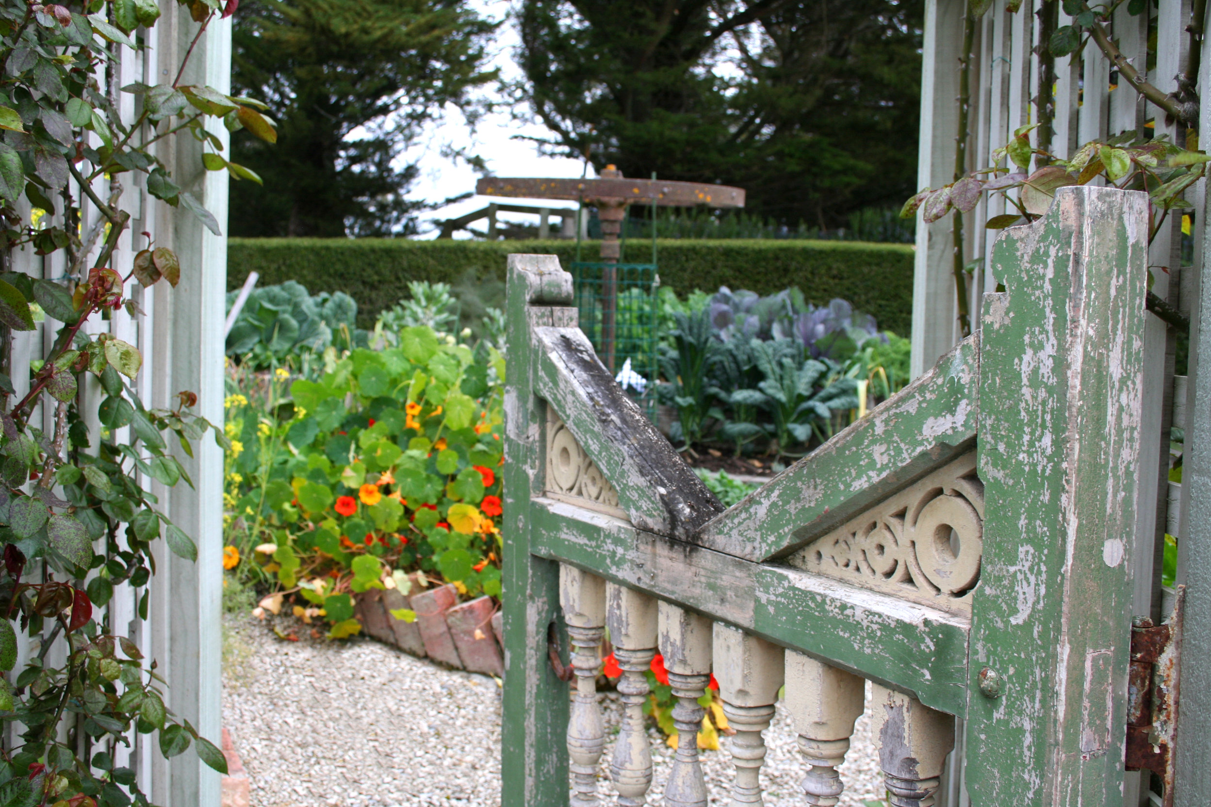 Greenhill Lodge Herb Garden