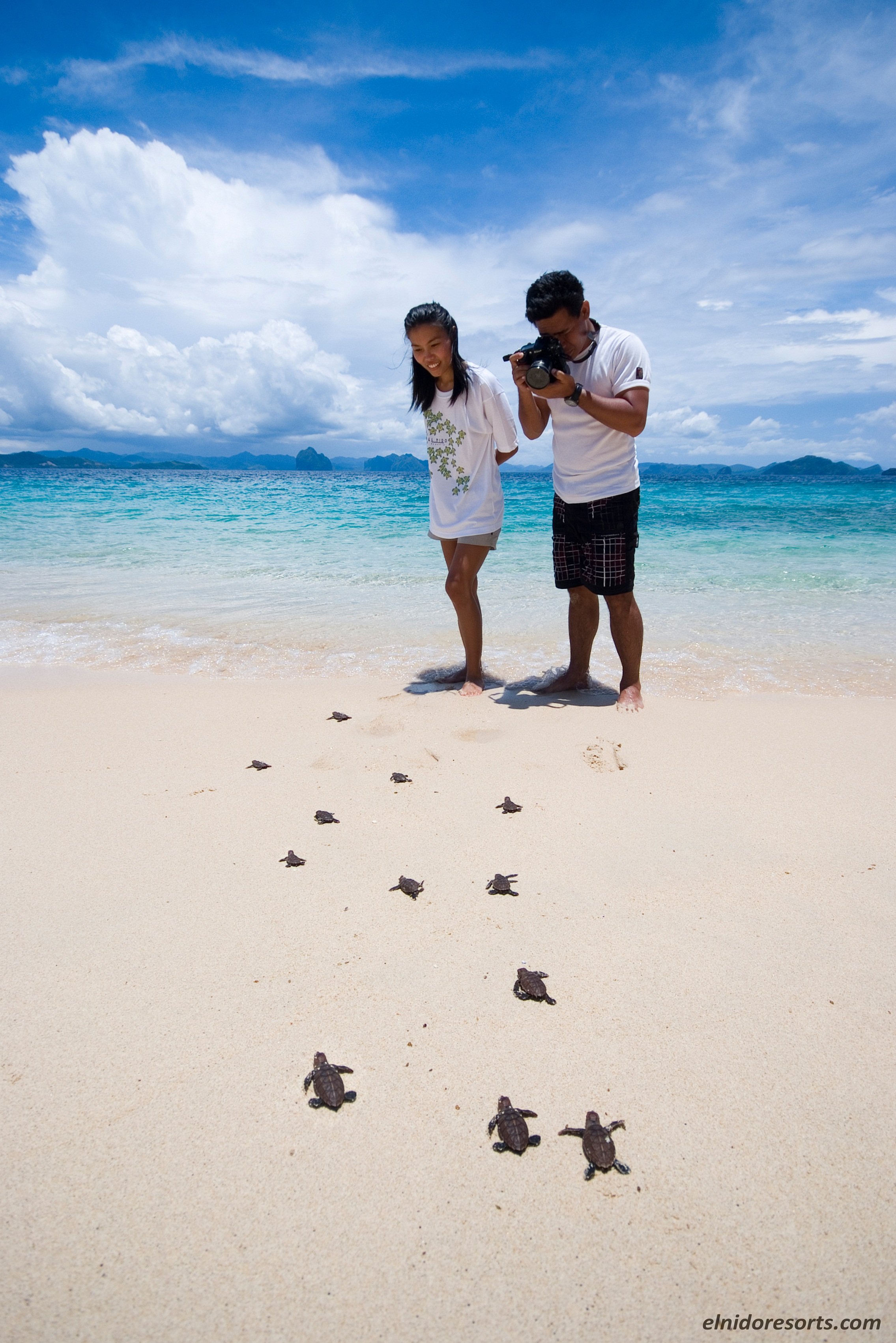 Turtle Tracking Tour During Turtle Season