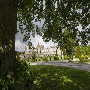 Castle Garden View