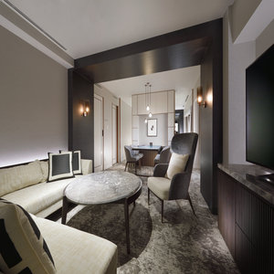 Suite - Living Area