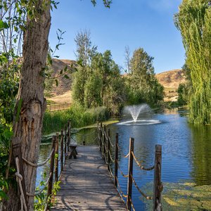 Trout Pond - Private Dock