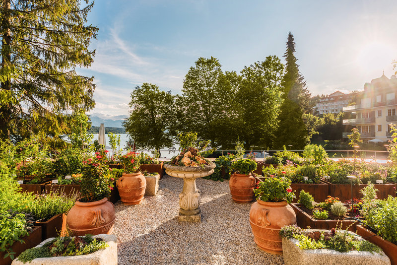 Herb Garden