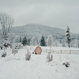 Evergreen Sauna Winter