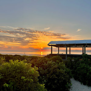 The Beach Bar