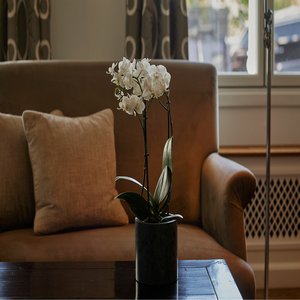 Deluxe Room - Room Details