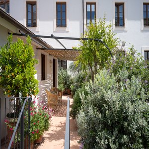 Terrace Suite - Terrace