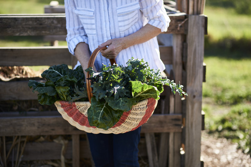 Farm-grown Seasonal Produce