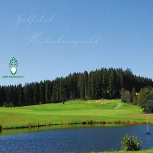 18 Hole Golf Court Hochschwarzwald, 10 min drive