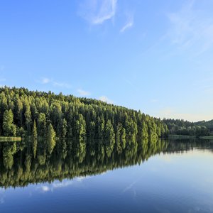 Ungurys Lake