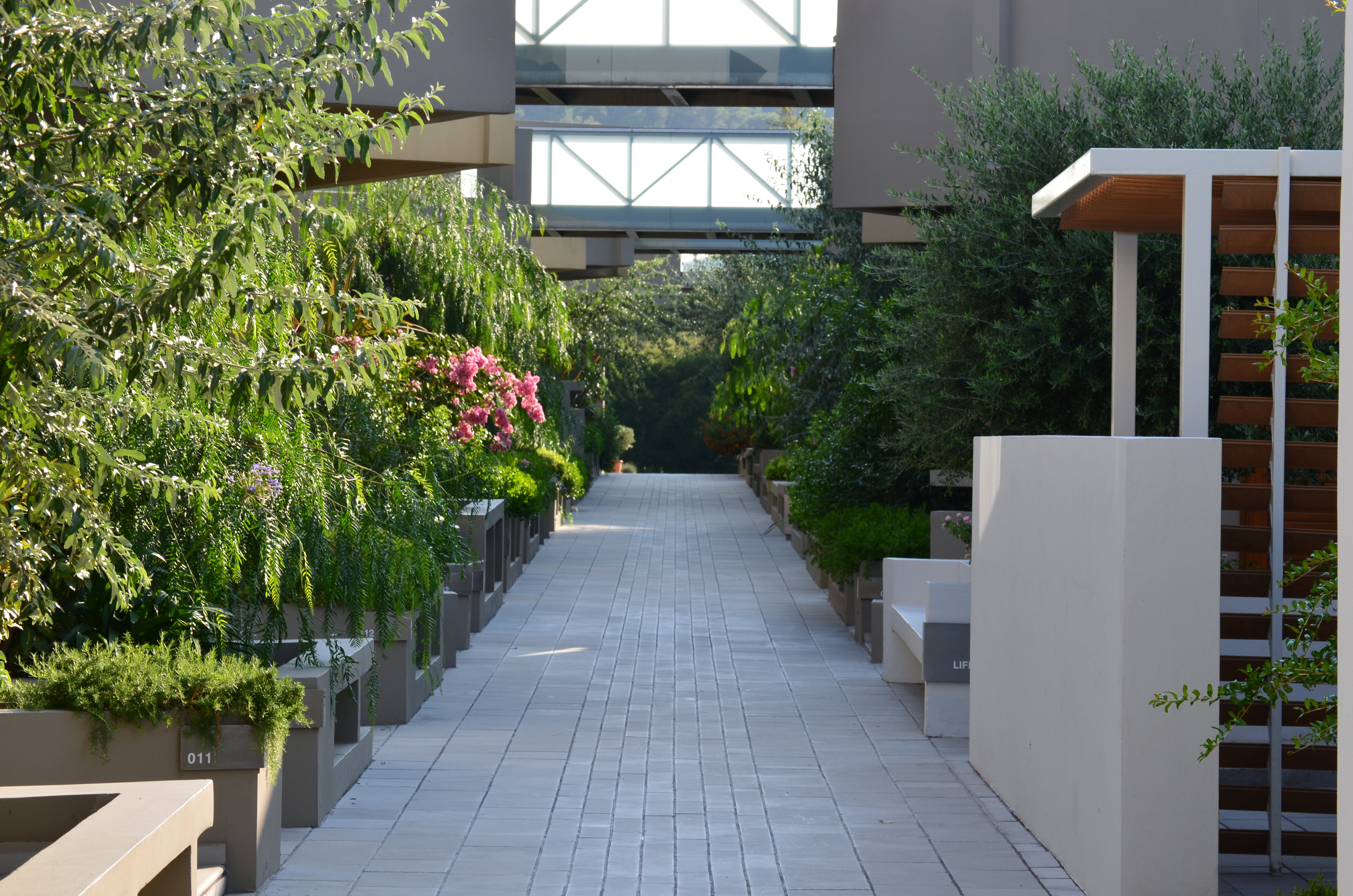 Lush Gardens